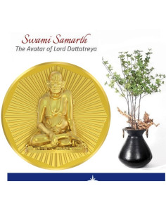 Swami Samrtha Panchdhatu Coins Fusion of Gold Silver Copper Tin and Zinc By Gianna Art