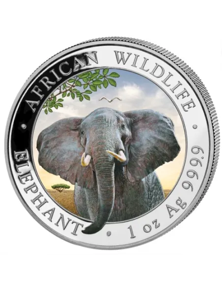 Somalia Elephant Colored 2021 1 OZ Ounce .9999 Silver African Wildlife series